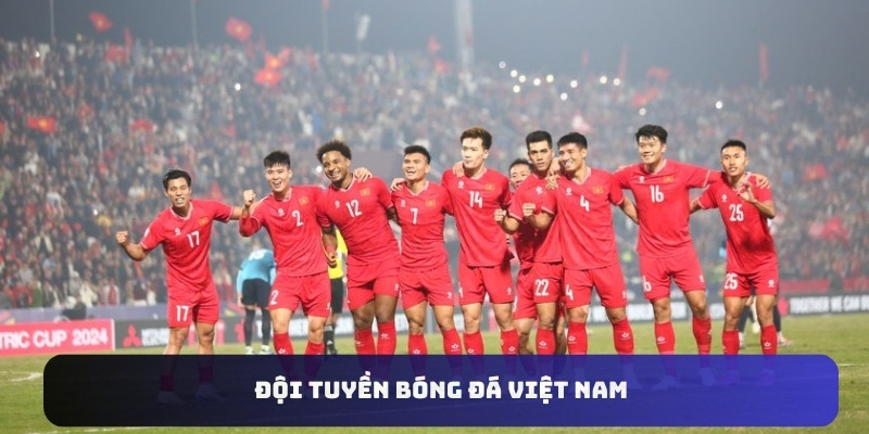 avataar viet nam