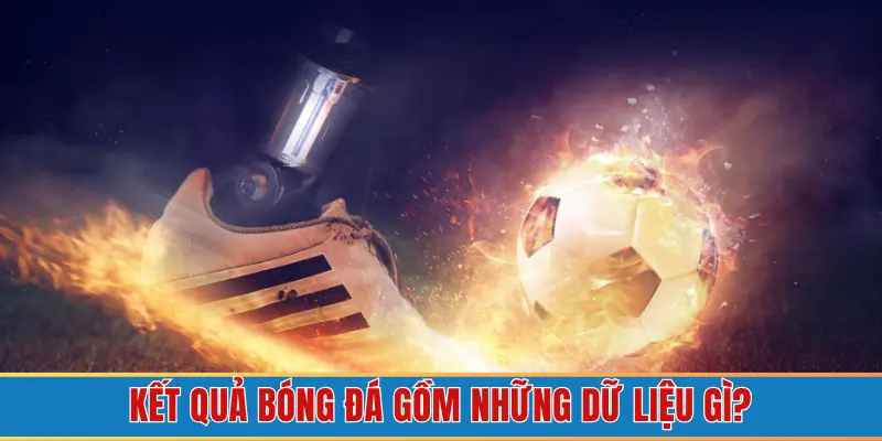 Tổng hợp 6 dữ liệu xuất hiện trong chuyên mục