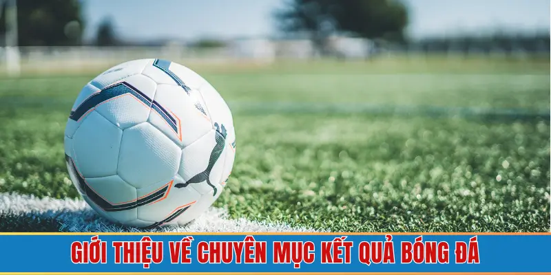 Sơ lược về chuyên mục kết quả trực tuyến